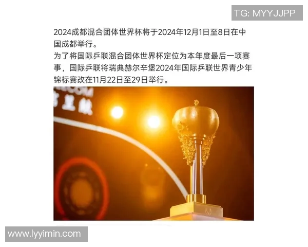 成都足球队在世界杯中的技术表现分析与未来展望