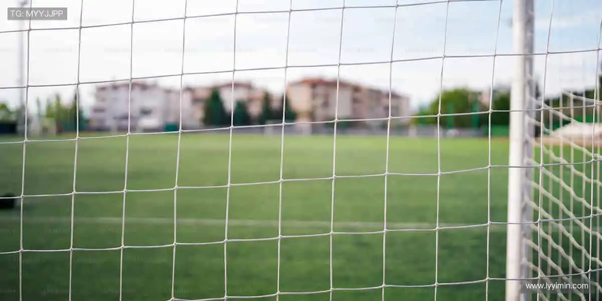 超清画质，流畅如临现场！📱⚽ 体育直播，让观赛成为享受！